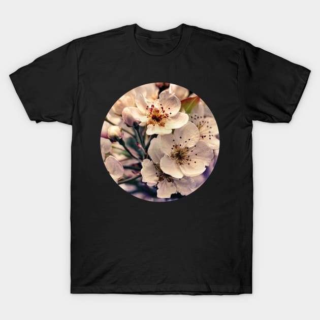 Blossoms at Dusk T-Shirt by micklyn